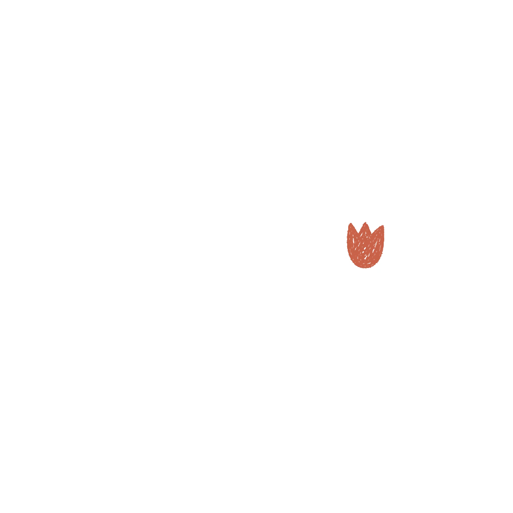 A window with the curtains drawn